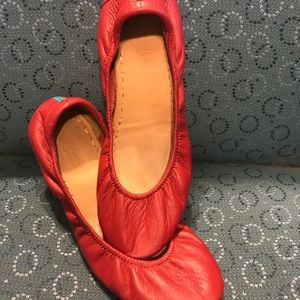 Cardinal Red sz 8 tieks